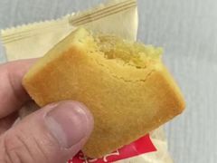 -佳德凤梨酥