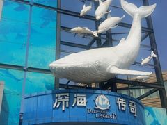 -大连圣亚海洋世界