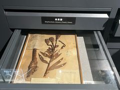 -四川大学博物馆