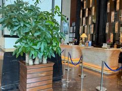 -汕头龙光喜来登酒店