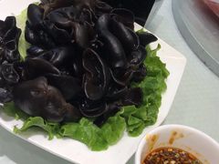 木耳刺身-双井轩(双井店)