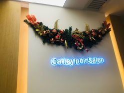 -THE LOG SALON 记录