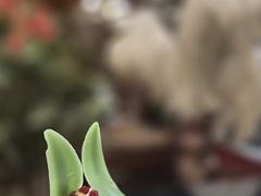 -北京贵宾楼饭店 红墙咖啡厅