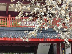 -堤角公园