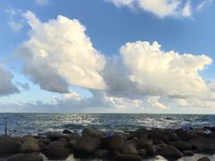 -广东惠东海龟国家级自然保护区