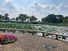 -无锡蠡湖国家湿地公园-蠡园