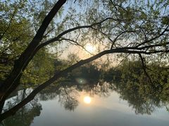 -菲住布渴酒店自助餐厅(阿里巴巴西溪园区店)