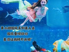 -华夏文旅海洋公园