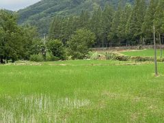 -东天目山风景区