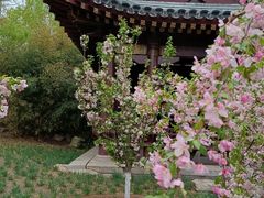 -海棠花溪(元大都城垣遗址公园)