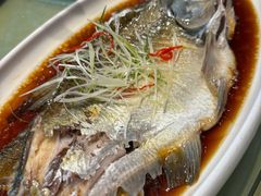清蒸海鲈鱼-刘胖子家常菜·蹄花焖藕(中南店)