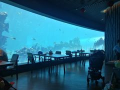 -海棠湾洲际-涛·海底餐厅·美人鱼·自助餐·海底隧道