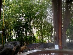 -楼观道温泉酒店