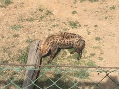 -石家庄市动物园