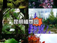 -昆明植物园