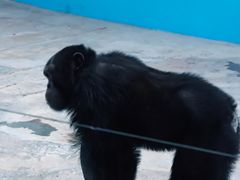 -北京野生动物园