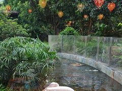 -熊猫自助餐厅.萌趣城堡(长隆熊猫酒店)