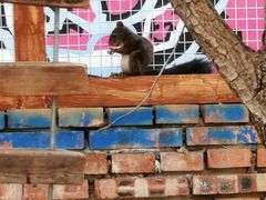 -百里峡七彩艺术小镇