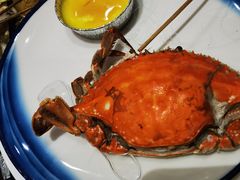 -金狮国际酒店自助餐(金狮店)