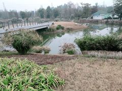 -桤木河湿地公园