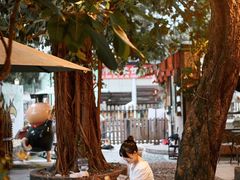 -柴犬高等学院·狗咖·柴犬售卖·宠物训练