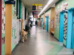 -杭州上海世界外国语小学