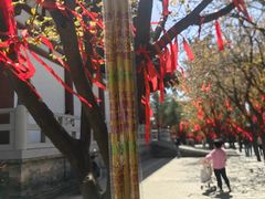 -西安青龙寺遗址景区