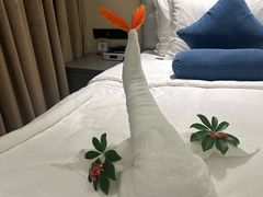 -美的鹭湖森林度假区