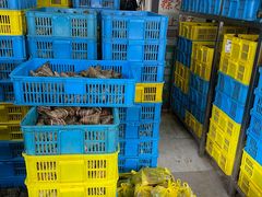 水产区-召稼楼永茂昌粽子大王