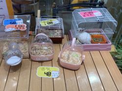-小象动悟公园(龙湖亦庄天街店)