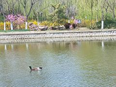 -南翠屏公园
