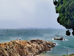 -小麦岛公园