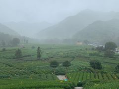 -听风阁农家私房菜茶楼(龙坞店)