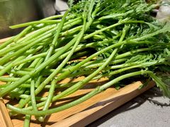 蒿子杆-蝎王府羊蝎子(西直门店)