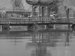 -靖西鹅泉风景区