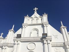 -杭州湾海上花田景区