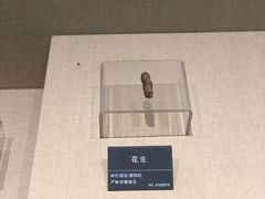-安徽省地质博物馆