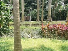 -南宁南湖公园