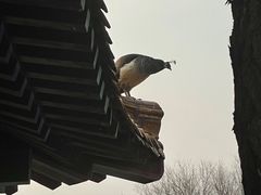 -舜耕山庄四时万和自助餐厅