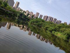 -重庆彩云湖湿地公园
