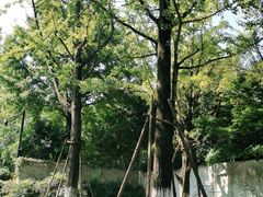 -杭州半山国家森林公园