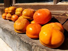 -南窖乡水峪村山情农家