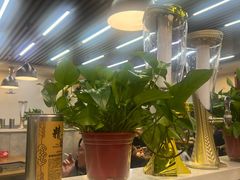 -二子海鲜大排档(太阳城店)