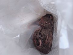 -奈雪的茶(国金中心店)