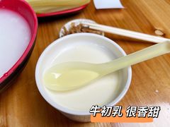 -光明刘冰乳鸽店(光明法政北路店)