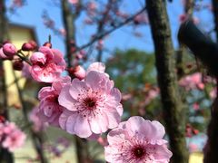 -重庆彩云湖湿地公园