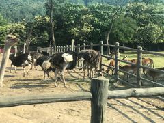 -西安秦岭野生动物园