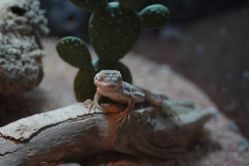 -酷嗒动物文化乐园(cutezoo西溪乐天城店)