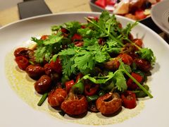 -西西这里民谣酒馆