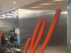 -健身专家Wellness Experts